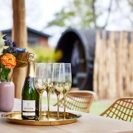 Apartment Veluwe - Design With Private Sauna And Fenced Garden - Nationaal Park De Hoge Veluwe